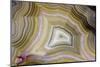 Banded Agate, Sammamish, Washington-Darrell Gulin-Mounted Photographic Print