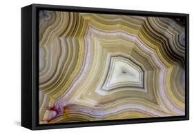 Banded Agate, Sammamish, Washington-Darrell Gulin-Framed Stretched Canvas