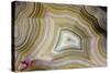 Banded Agate, Sammamish, Washington-Darrell Gulin-Stretched Canvas