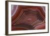 Banded Agate, Sammamish, Washington-Darrell Gulin-Framed Photographic Print