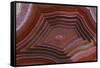 Banded Agate, Sammamish, Washington-Darrell Gulin-Framed Stretched Canvas