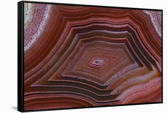 Banded Agate, Sammamish, Washington-Darrell Gulin-Framed Stretched Canvas