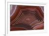 Banded Agate, Sammamish, Washington-Darrell Gulin-Framed Photographic Print