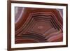 Banded Agate, Sammamish, Washington-Darrell Gulin-Framed Photographic Print