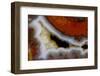 Banded Agate, Sammamish, Washington-Darrell Gulin-Framed Photographic Print