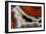 Banded Agate, Sammamish, Washington-Darrell Gulin-Framed Photographic Print