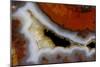 Banded Agate, Sammamish, Washington-Darrell Gulin-Mounted Photographic Print