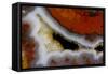 Banded Agate, Sammamish, Washington-Darrell Gulin-Framed Stretched Canvas