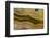 Banded Agate, Sammamish, Washington-Darrell Gulin-Framed Photographic Print