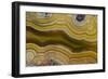 Banded Agate, Sammamish, Washington-Darrell Gulin-Framed Photographic Print