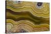 Banded Agate, Sammamish, Washington-Darrell Gulin-Stretched Canvas