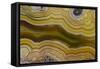 Banded Agate, Sammamish, Washington-Darrell Gulin-Framed Stretched Canvas