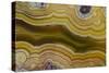 Banded Agate, Sammamish, Washington-Darrell Gulin-Stretched Canvas