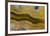 Banded Agate, Sammamish, Washington-Darrell Gulin-Framed Photographic Print