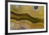 Banded Agate, Sammamish, Washington-Darrell Gulin-Framed Photographic Print