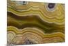 Banded Agate, Sammamish, Washington-Darrell Gulin-Mounted Photographic Print