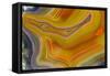 Banded Agate, Sammamish, Washington-Darrell Gulin-Framed Stretched Canvas