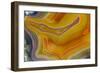 Banded Agate, Sammamish, Washington-Darrell Gulin-Framed Photographic Print