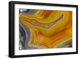 Banded Agate, Sammamish, Washington-Darrell Gulin-Framed Photographic Print