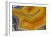 Banded Agate, Sammamish, Washington-Darrell Gulin-Framed Photographic Print