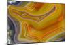 Banded Agate, Sammamish, Washington-Darrell Gulin-Mounted Photographic Print