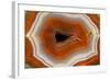 Banded Agate, Sammamish, Washington-Darrell Gulin-Framed Photographic Print