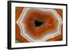 Banded Agate, Sammamish, Washington-Darrell Gulin-Framed Photographic Print