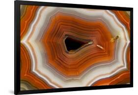 Banded Agate, Sammamish, Washington-Darrell Gulin-Framed Photographic Print