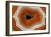 Banded Agate, Sammamish, Washington-Darrell Gulin-Framed Photographic Print