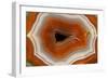 Banded Agate, Sammamish, Washington-Darrell Gulin-Framed Photographic Print