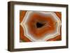 Banded Agate, Sammamish, Washington-Darrell Gulin-Framed Photographic Print