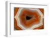 Banded Agate, Sammamish, Washington-Darrell Gulin-Framed Photographic Print