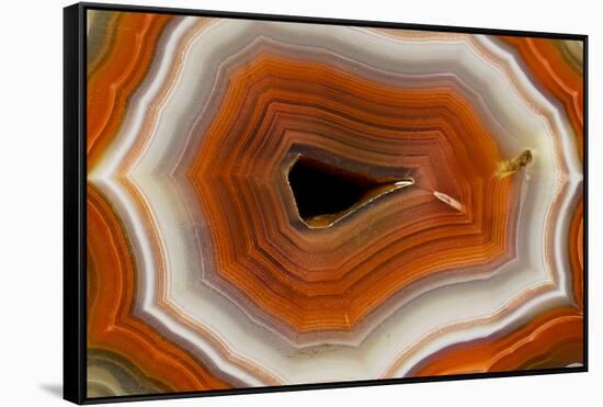 Banded Agate, Sammamish, Washington-Darrell Gulin-Framed Stretched Canvas