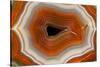 Banded Agate, Sammamish, Washington-Darrell Gulin-Stretched Canvas