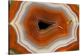 Banded Agate, Sammamish, Washington-Darrell Gulin-Stretched Canvas