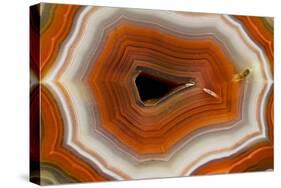 Banded Agate, Sammamish, Washington-Darrell Gulin-Stretched Canvas