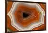 Banded Agate, Sammamish, Washington-Darrell Gulin-Framed Premium Photographic Print