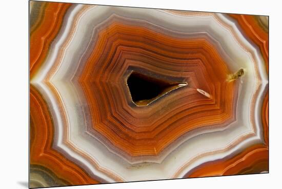 Banded Agate, Sammamish, Washington-Darrell Gulin-Mounted Premium Photographic Print