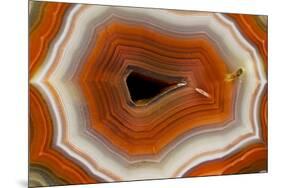 Banded Agate, Sammamish, Washington-Darrell Gulin-Mounted Premium Photographic Print