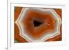 Banded Agate, Sammamish, Washington-Darrell Gulin-Framed Photographic Print