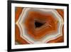 Banded Agate, Sammamish, Washington-Darrell Gulin-Framed Photographic Print