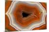 Banded Agate, Sammamish, Washington-Darrell Gulin-Mounted Photographic Print