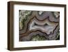 Banded Agate, Sammamish, Washington-Darrell Gulin-Framed Photographic Print