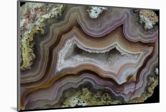 Banded Agate, Sammamish, Washington-Darrell Gulin-Mounted Photographic Print