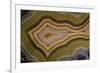 Banded Agate, Sammamish, Washington-Darrell Gulin-Framed Photographic Print