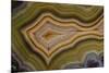 Banded Agate, Sammamish, Washington-Darrell Gulin-Mounted Photographic Print