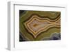 Banded Agate, Sammamish, Washington-Darrell Gulin-Framed Photographic Print