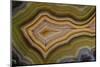 Banded Agate, Sammamish, Washington-Darrell Gulin-Mounted Photographic Print