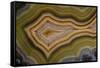 Banded Agate, Sammamish, Washington-Darrell Gulin-Framed Stretched Canvas