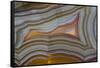 Banded Agate, Sammamish, Washington-Darrell Gulin-Framed Stretched Canvas